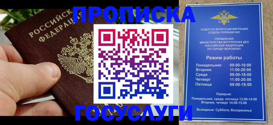 временная регистрация для школы в Палласовке